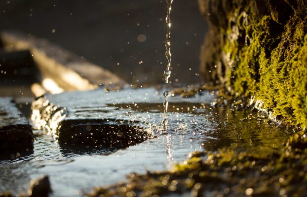 Acqua minerale VS acqua di sorgente: le principali differenze